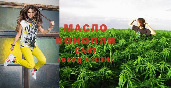 молекула духа Новозыбков