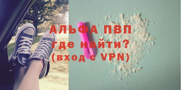 прущие грибы Новодвинск