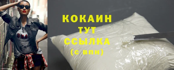 молекула духа Новозыбков