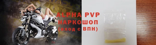 прущие грибы Новодвинск