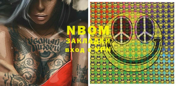 прущие грибы Новодвинск