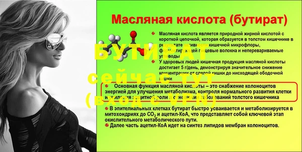 прущие грибы Новодвинск