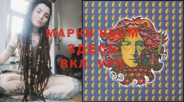 молекула духа Новозыбков