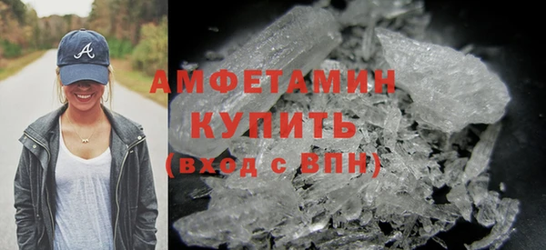 прущие грибы Новодвинск