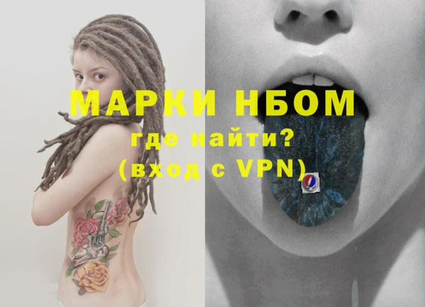 прущие грибы Новодвинск