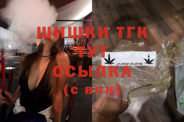 прущие грибы Новодвинск